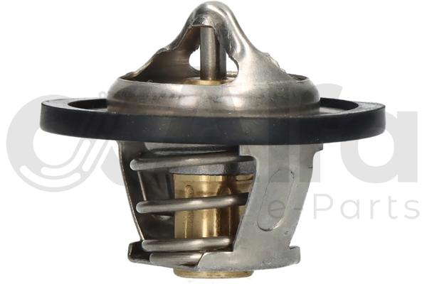 Thermostat d'eau