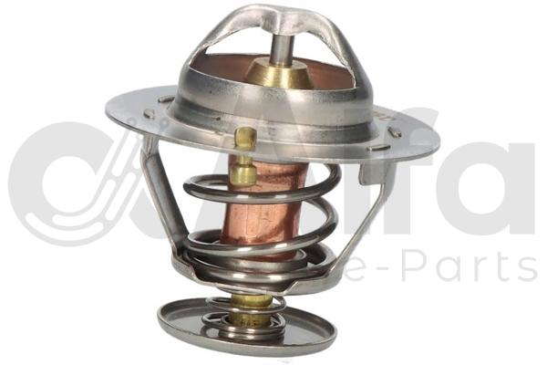 Thermostat d'eau