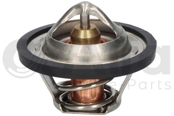 Thermostat d'eau
