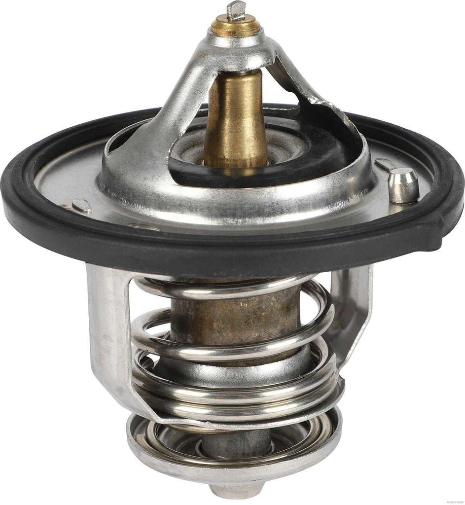 Thermostat d'eau