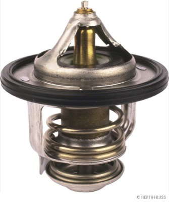 Thermostat d'eau
