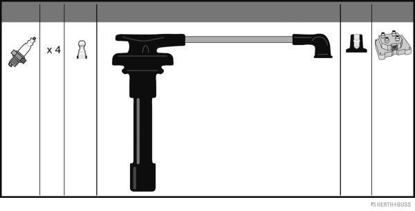 J5384006_TZ