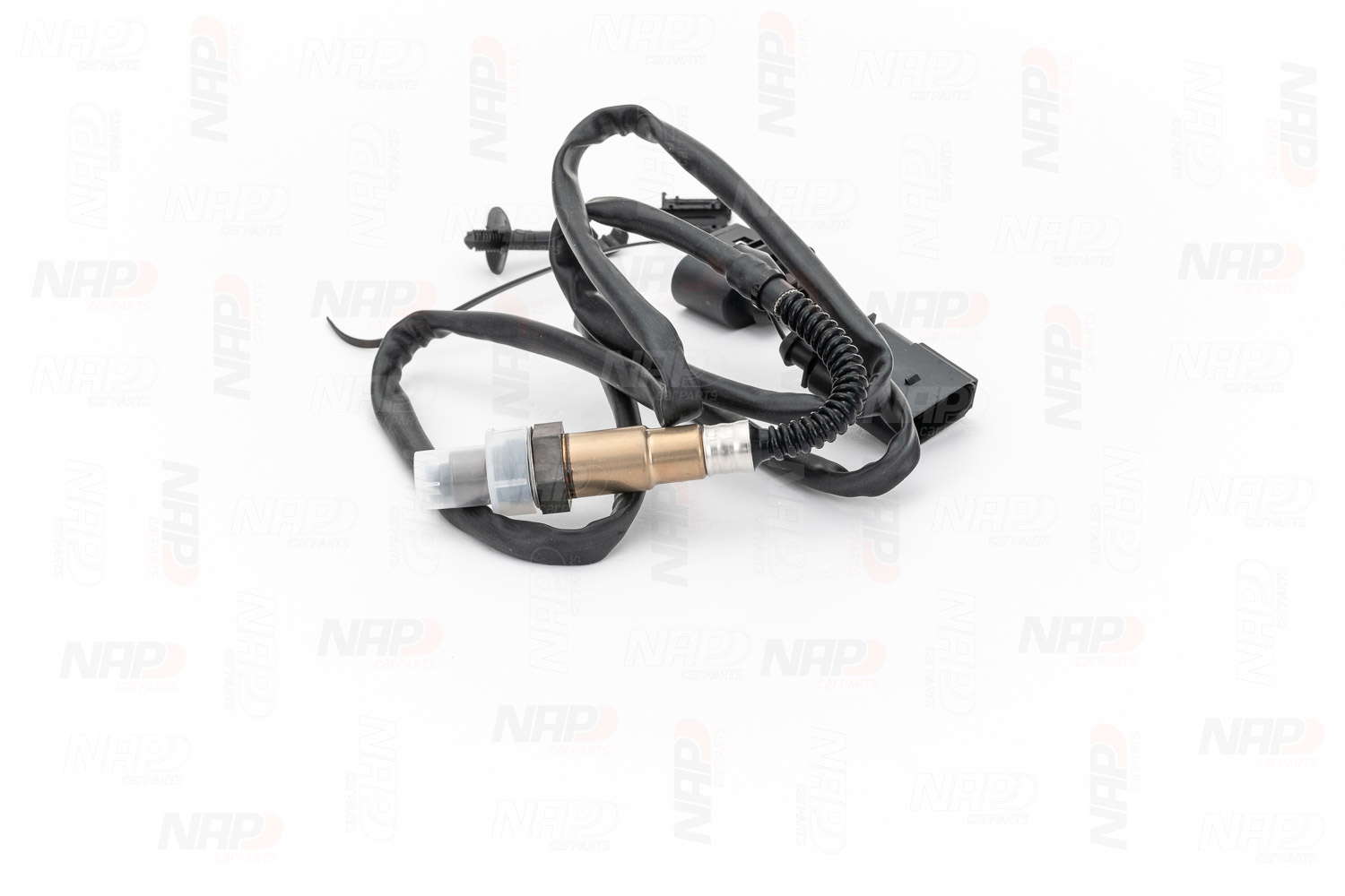 CLS10178_03