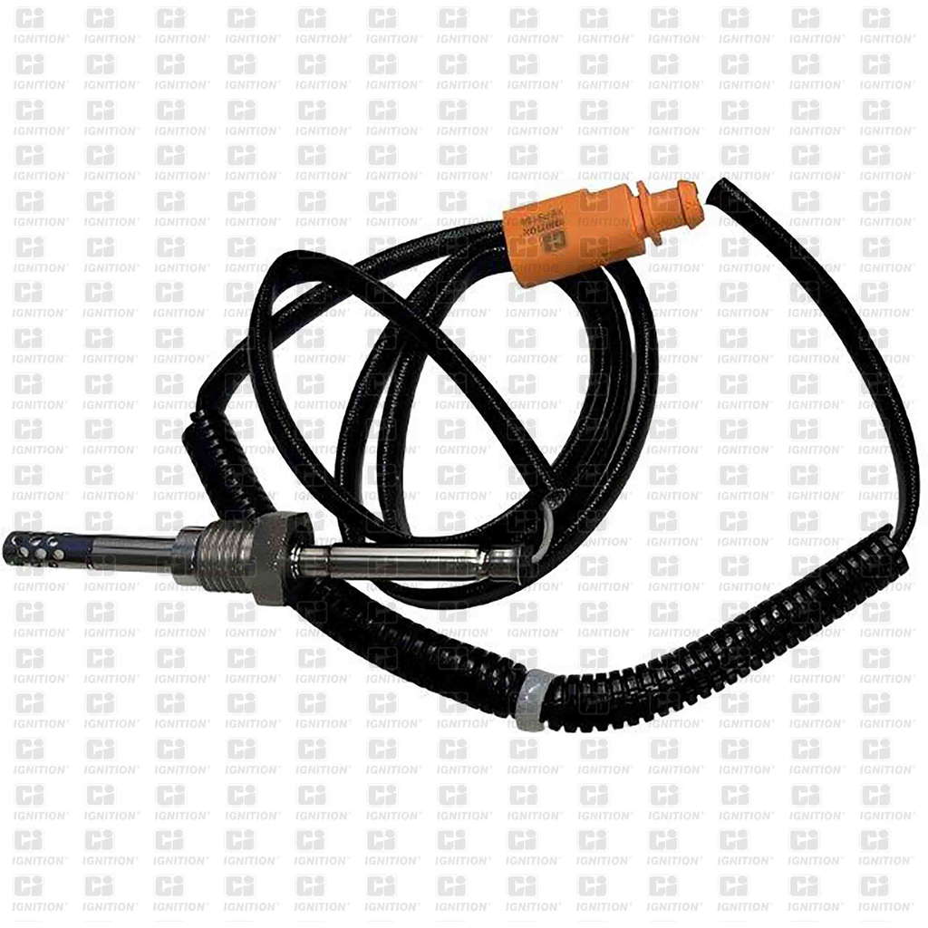 Palpeur de température des gaz