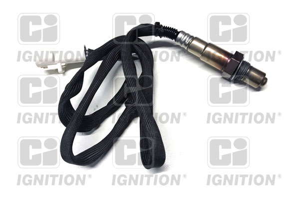 Sonde lambda