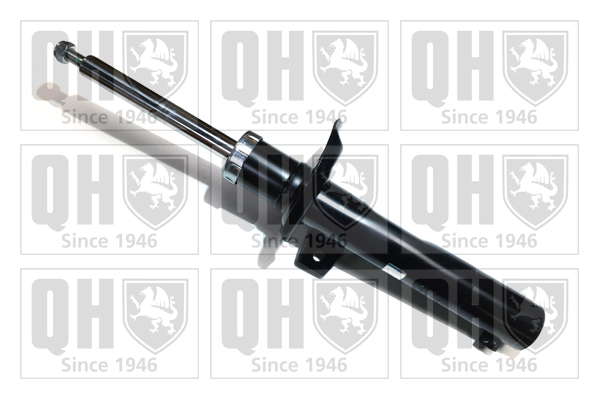qh_qag178991