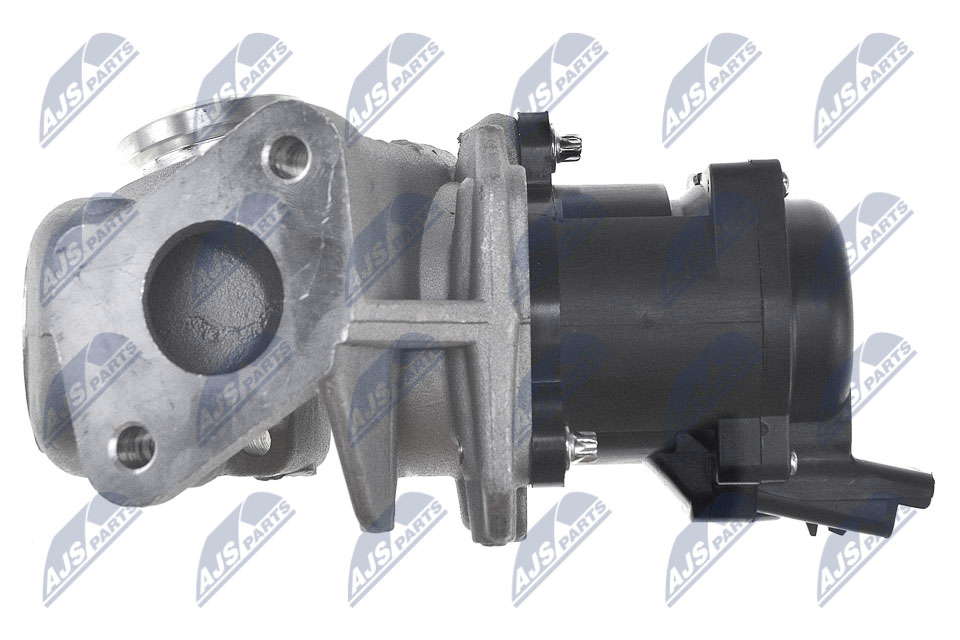 egr-ct-000_4-wm