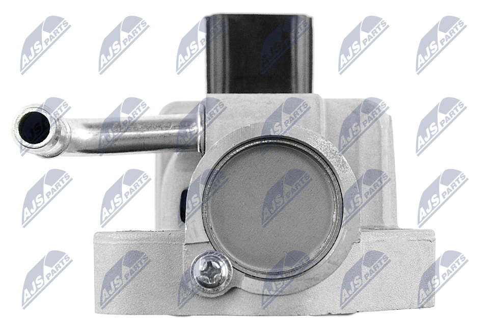 egr-mz-000_4-wm