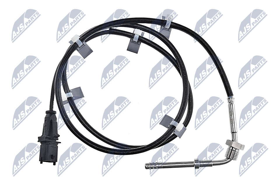 Palpeur (température des gaz)
