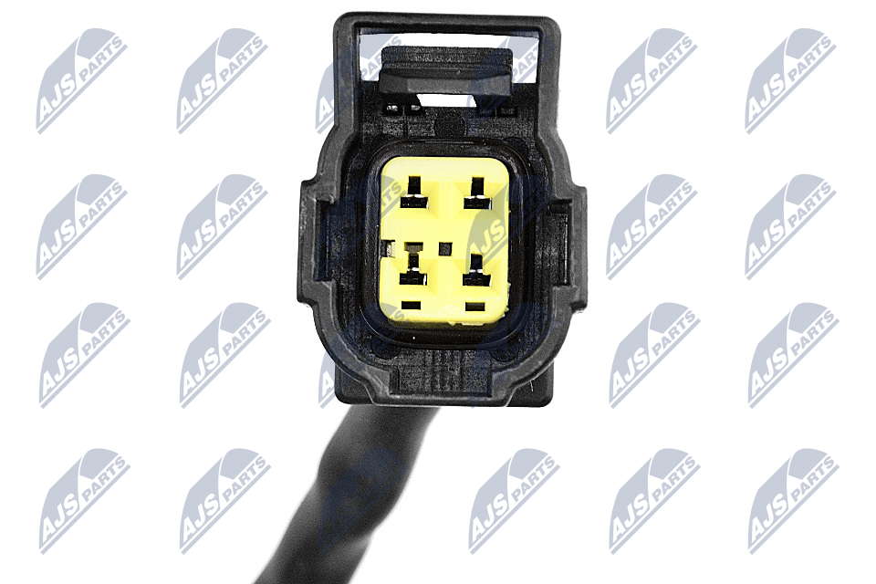 esl-ch-024_3-wm