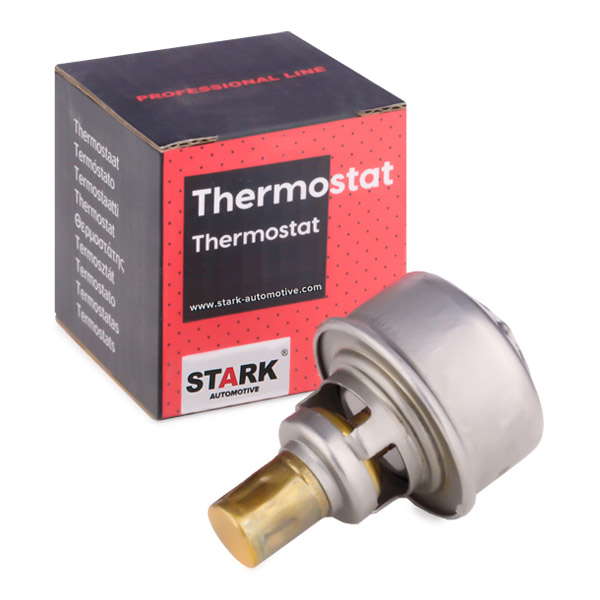 Thermostat d'eau