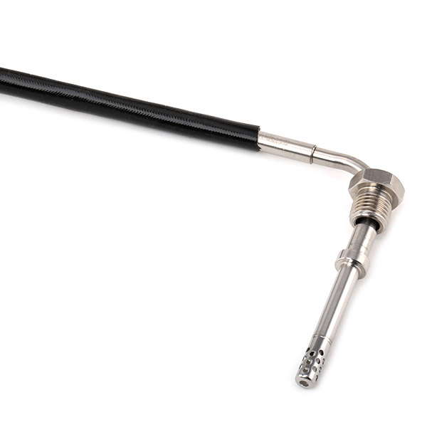 Palpeur de température des gaz