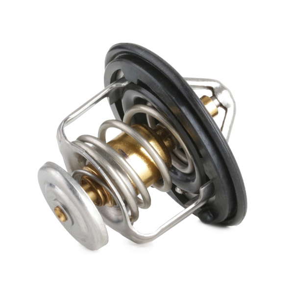 Thermostat d'eau
