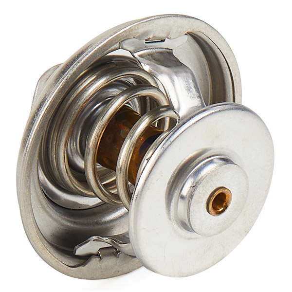 Thermostat d'eau