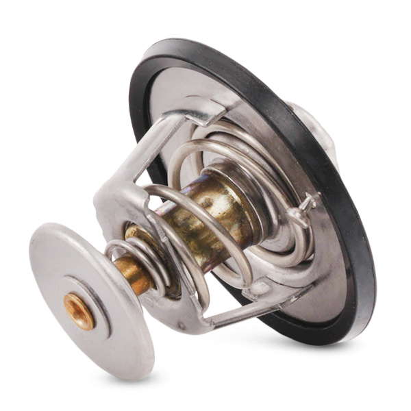 Thermostat d'eau