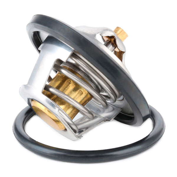 Thermostat d'eau