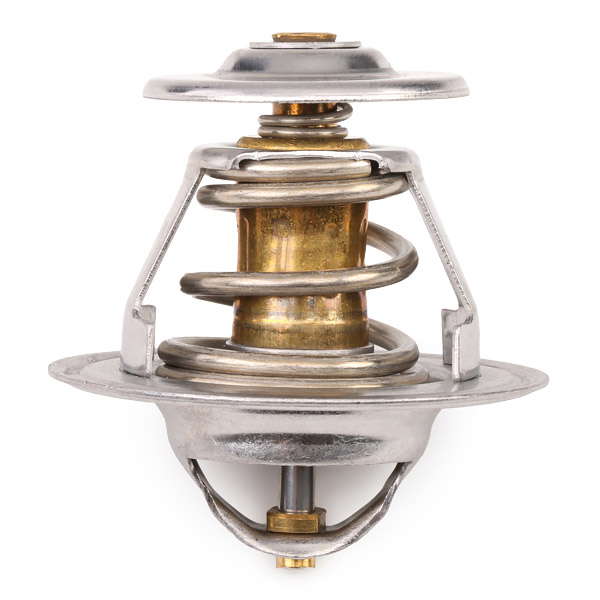 Thermostat d'eau