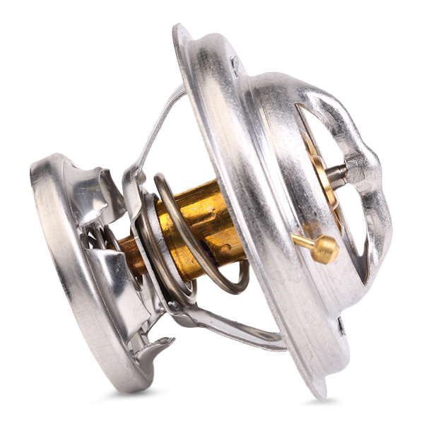 Thermostat d'eau