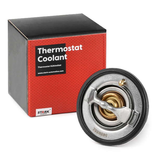 Thermostat d'eau