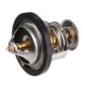 Thermostat d'eau