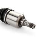 13558652_808