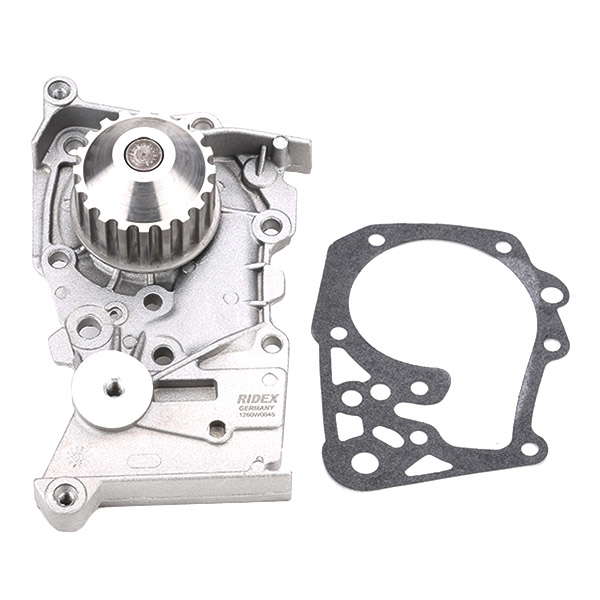 13562862_594