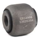 13626384_631
