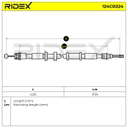 13631556_257