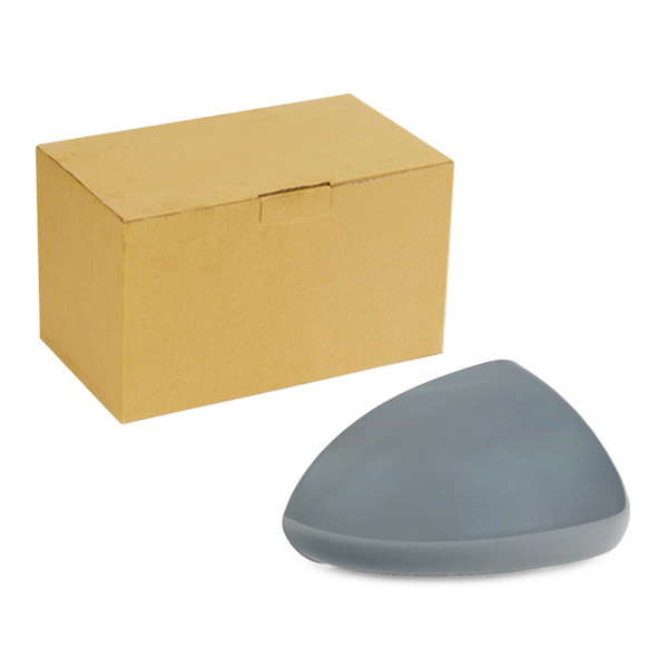 Coque rétroviseur extérieur