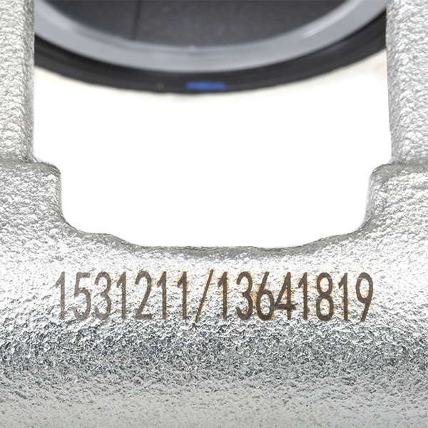 13641819_95