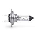Ampoule, spot