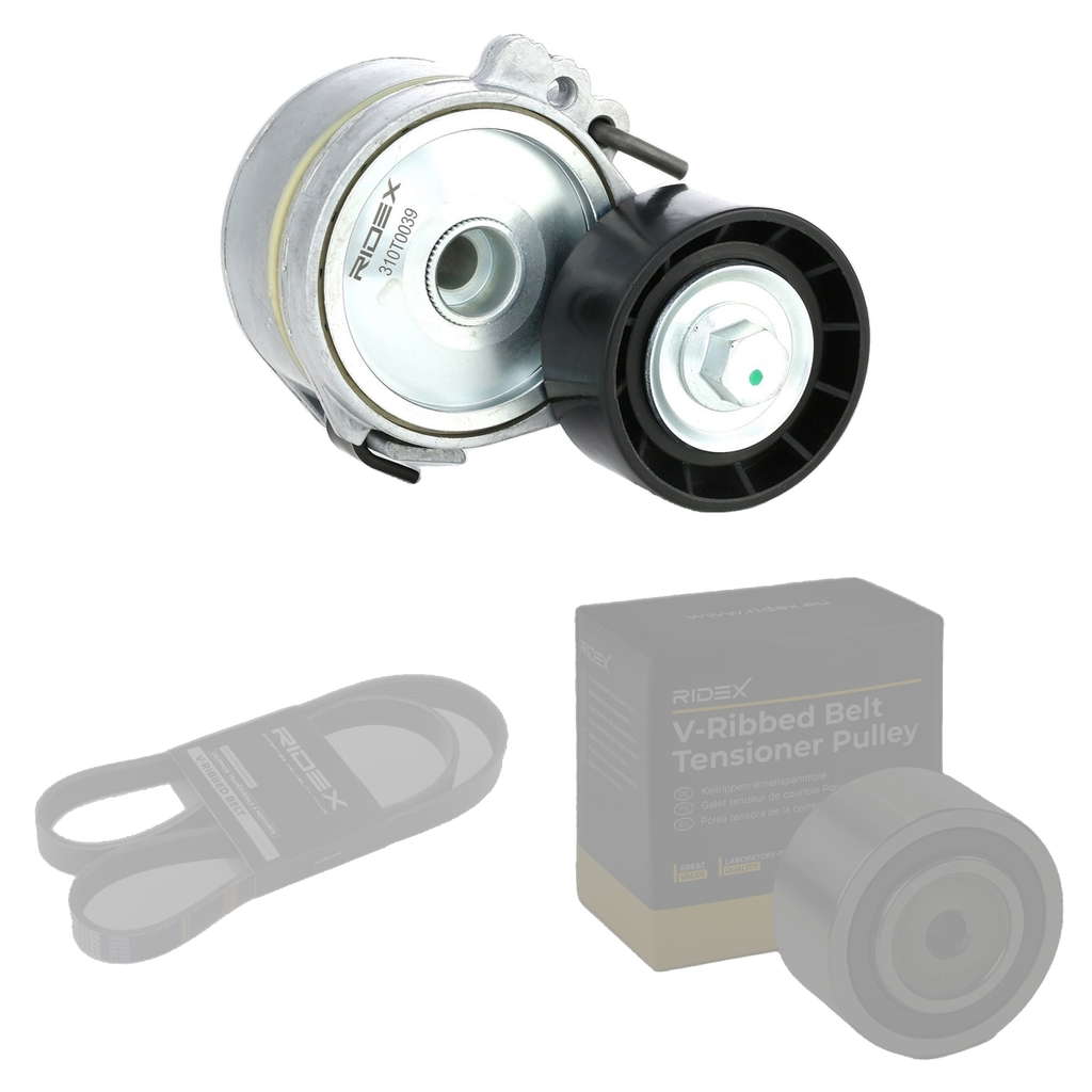 Kit de courroies nervurées
