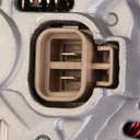 15480798_9