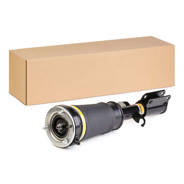 Jambe de suspension pneumatique