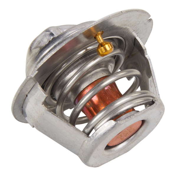 Thermostat moteur