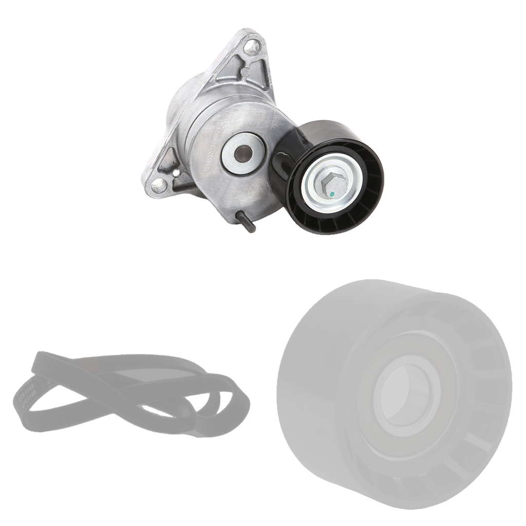 Kit de courroies nervurées