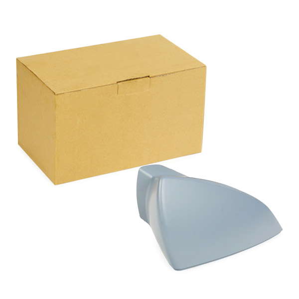 Coque rétroviseur extérieur