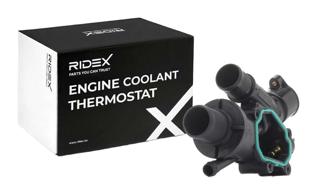 Thermostat d'eau