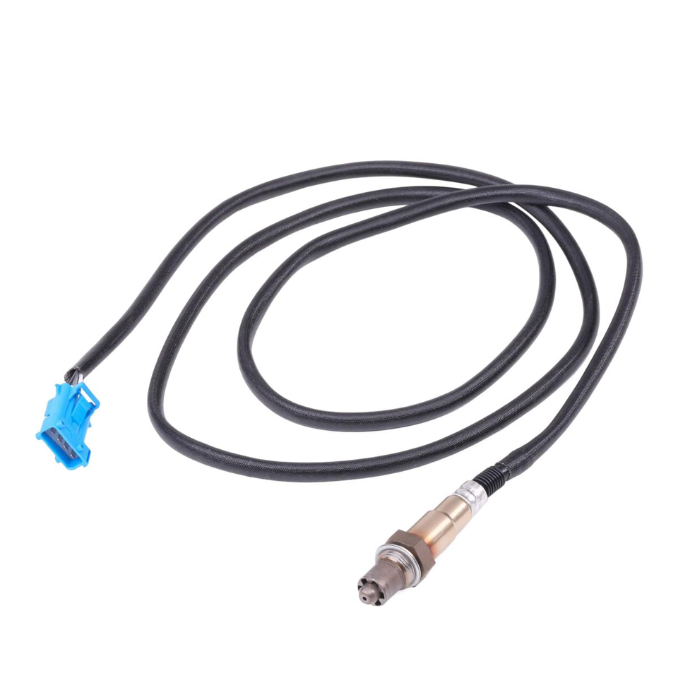 Sonde lambda