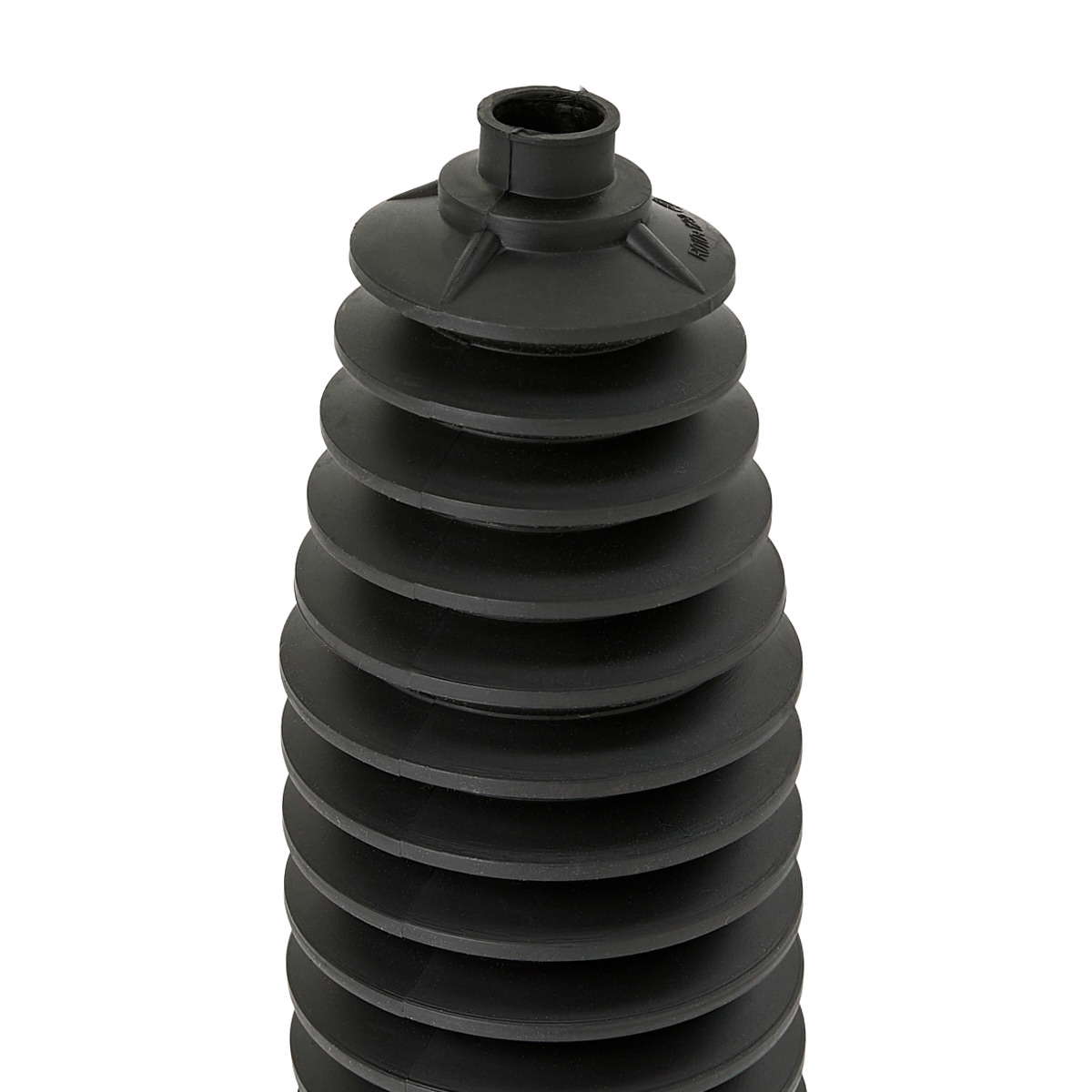 20245355_209