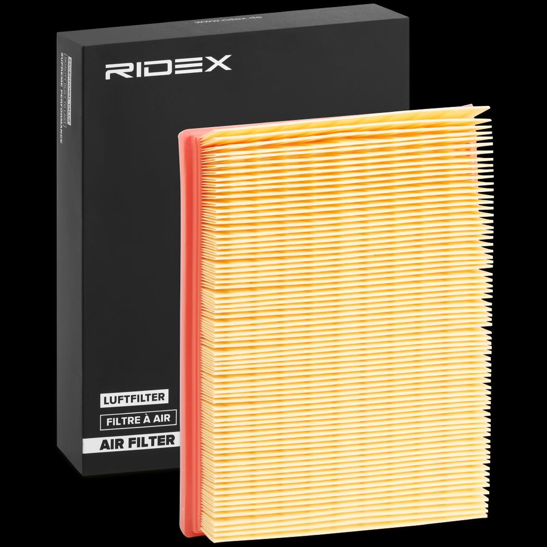 8000905_619