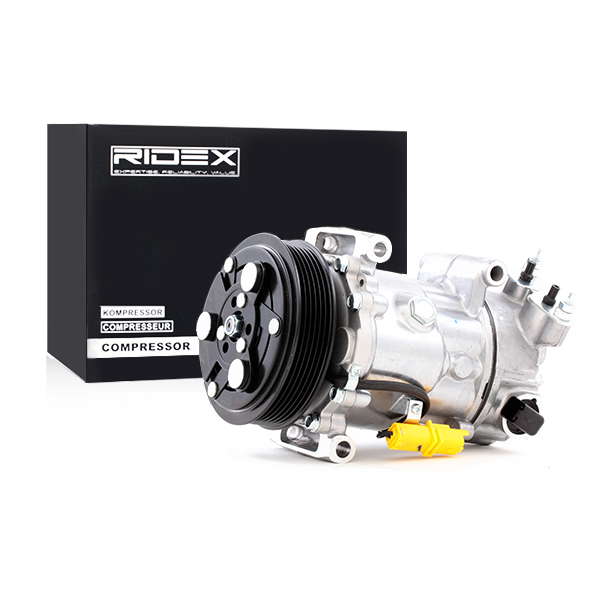 8098146_91
