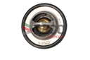Thermostat d'eau