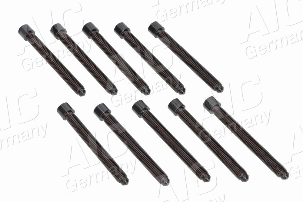 Boulon / vis de culasse de cylindre (x10)