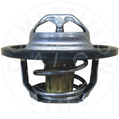 Thermostat d'eau