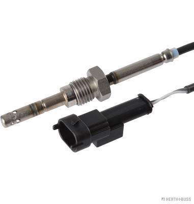 Palpeur (température des gaz)