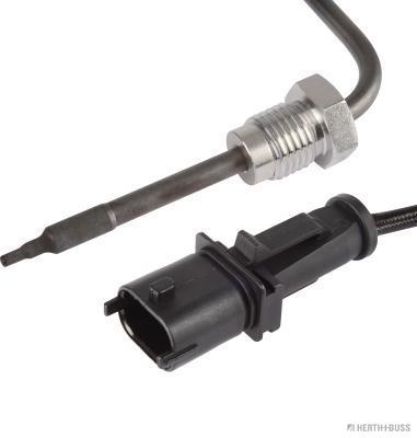 Palpeur (température des gaz)