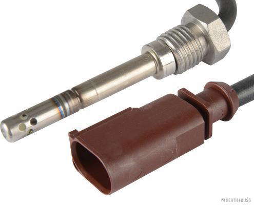 Palpeur de température des gaz