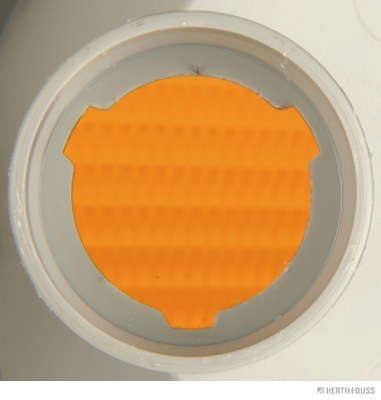 83700034_A