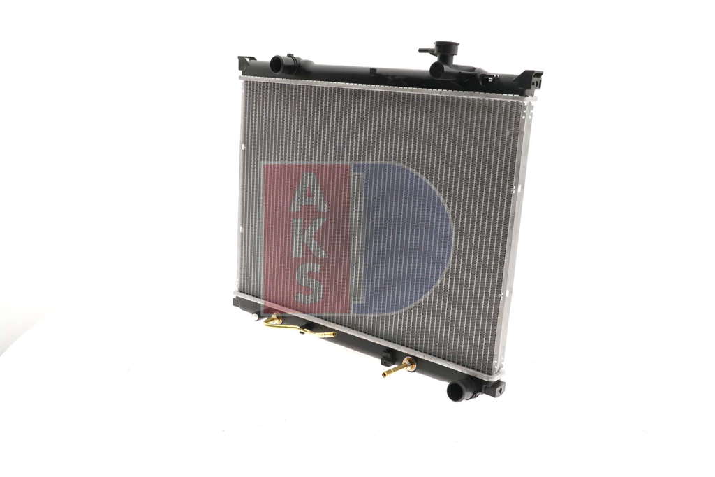 Radiateur du moteur